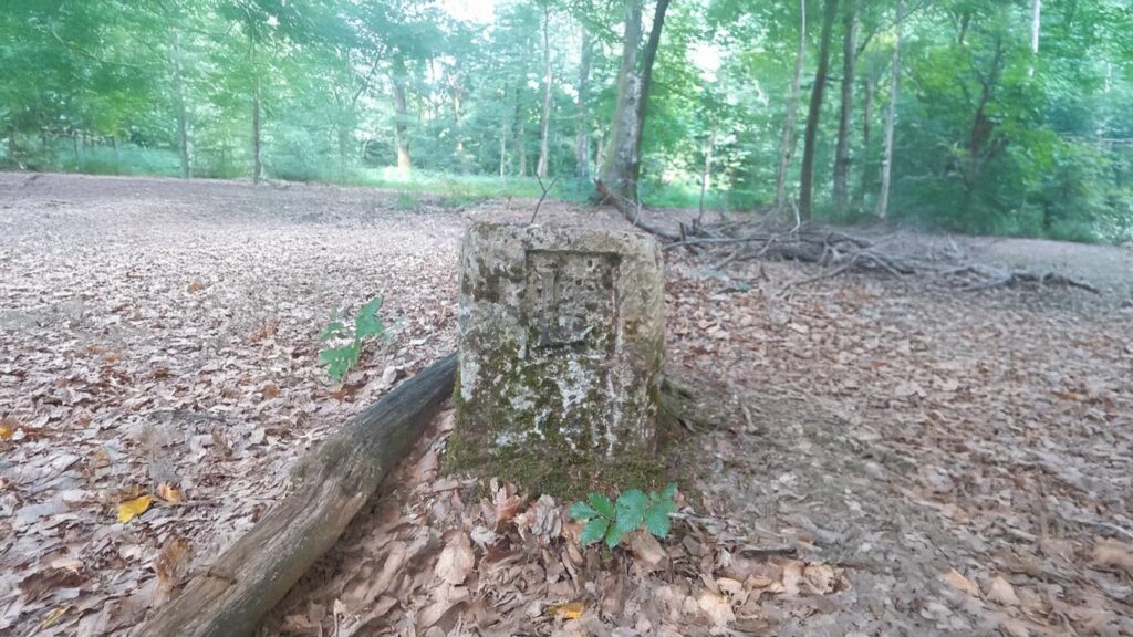 borne cadastrale