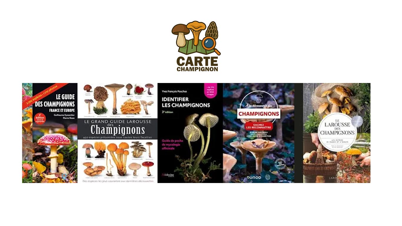 Top 5 des livres pour reconnaître les girolles et champignons comestibles