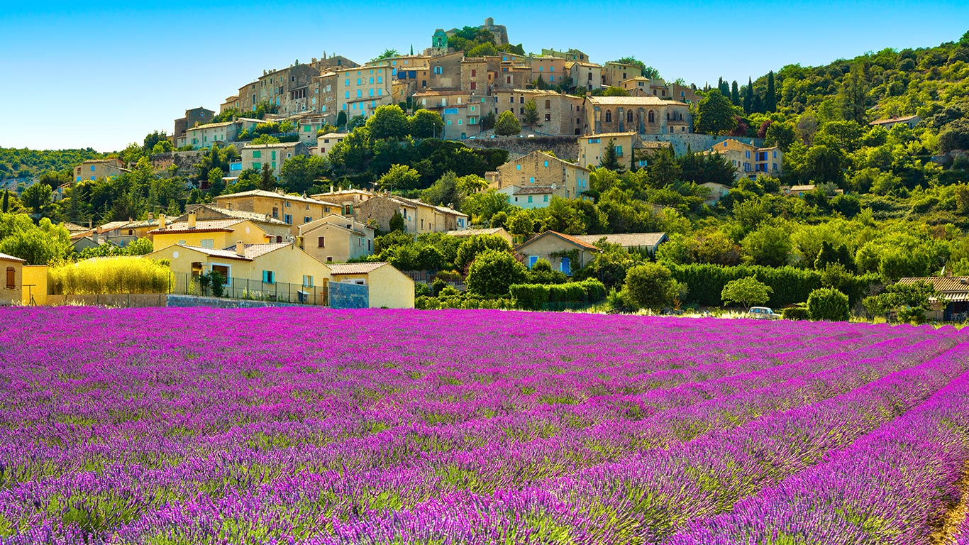 Où trouver des cèpes en Provence-Alpes-Côte d’Azur ?