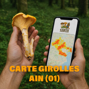Carte Girolles pour l'Ain (01)