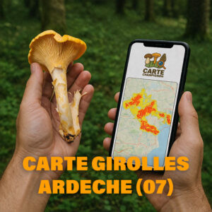 Carte Girolles pour l'Ardèche (07)
