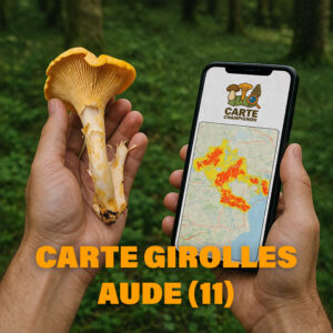 Carte Girolles pour l'Aude (11)