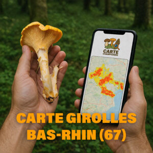 Carte Girolles pour le Bas-Rhin (67)