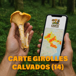 Carte Girolles pour le Calvados (14)