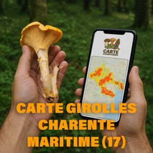 Carte Girolles pour la Charente-Maritime (17)