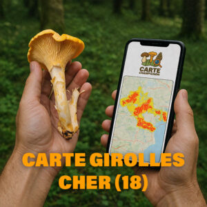 Carte Girolles pour le Cher (18)