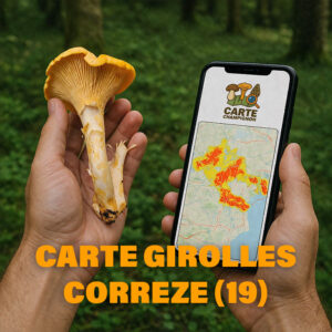 Carte Girolles pour la Corrèze (19)