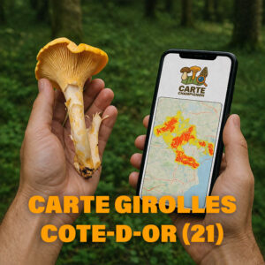 Carte Girolles en Côte-d'Or (21)