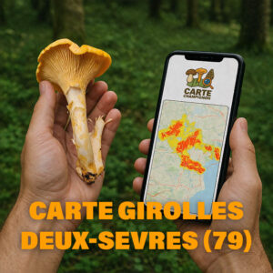 Carte Girolles pour les Deux-Sèvres (79)