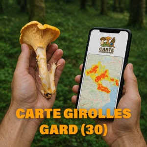 Carte Girolles pour le Gard (30)