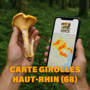 Carte Girolles pour le Haut-Rhin (68)