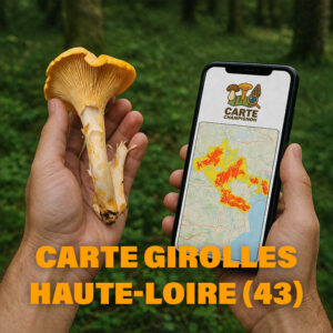 Carte Girolles pour la Haute-Loire (43)