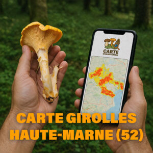 Carte Girolles pour la Haute-Marne (52)