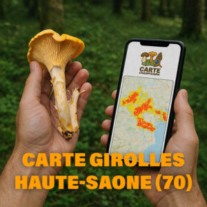 Carte Girolles pour la Haute-Saône (70)