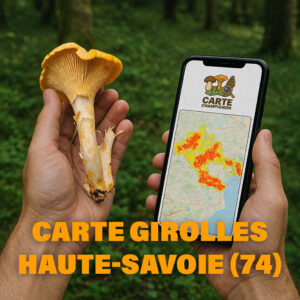 Carte Girolles pour la Haute-Savoie (74)