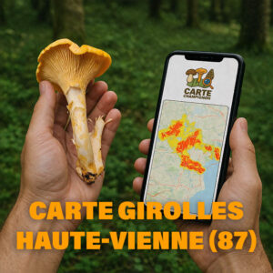 Carte Girolles pour la Haute-Vienne (87)