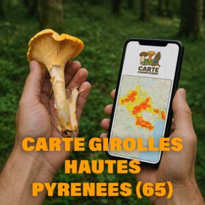 Carte Girolles pour les Hautes-Pyrénées (65)