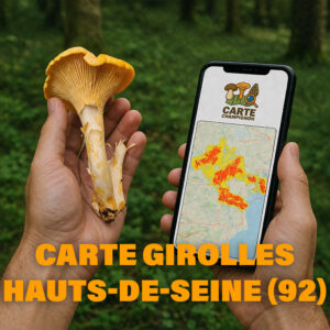 Carte Girolles pour les Hauts-de-Seine (92)