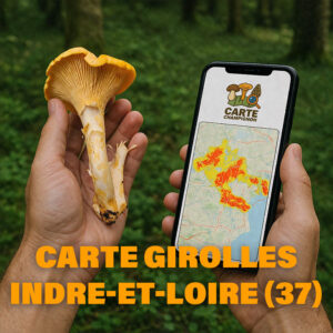 Carte Girolles pour l'Indre-et-Loire (37)