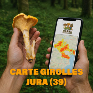 Carte Girolles pour le Jura (39)