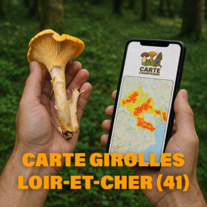 Carte Girolles pour le Loir-et-Cher (41)