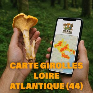 Carte Girolles pour Loire-Atlantique (44)
