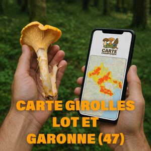 Carte Girolles pour le Lot-et-Garonne (47)