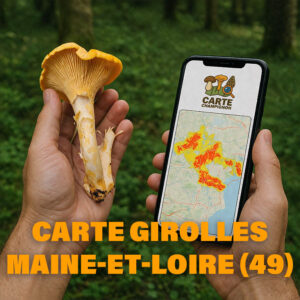Carte Girolles pour le Maine-et-Loire (49)