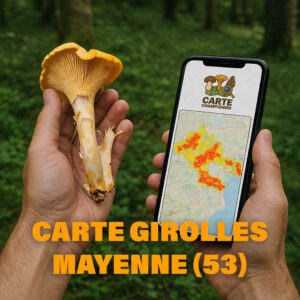 Carte Girolles pour la Mayenne (53)