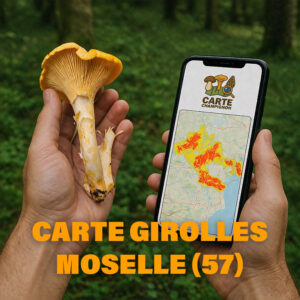 Carte Girolles pour la Moselle (57)
