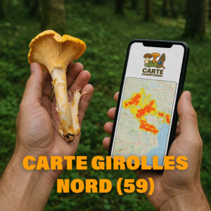 Carte Girolles pour le Nord (59)