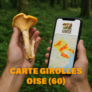 Carte Girolles pour l'Oise (60)
