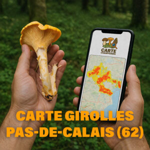 Carte Girolles pour le Pas-de-Calais (62)