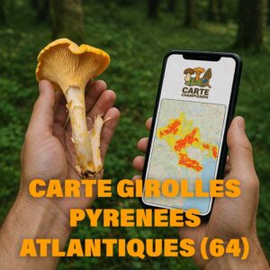 Carte Girolles pour les Pyrénées-Atlantiques (64)