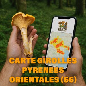 Carte Girolles pour les Pyrénées-Orientales (66)