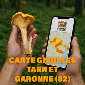 Carte Girolles pour le Tarn-et-Garonne (82)