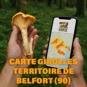 Carte Girolles pour le Territoire de Belfort (90)