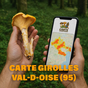 Carte Girolles pour le Val-d'Oise (95)