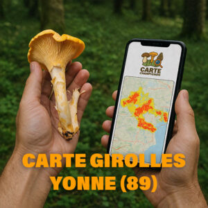 Carte Girolles pour l'Yonne (89)