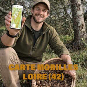 Carte Morilles Loire 42